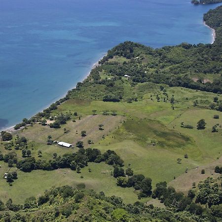 Hotel Punta De Aguila Necoclí Dış mekan fotoğraf